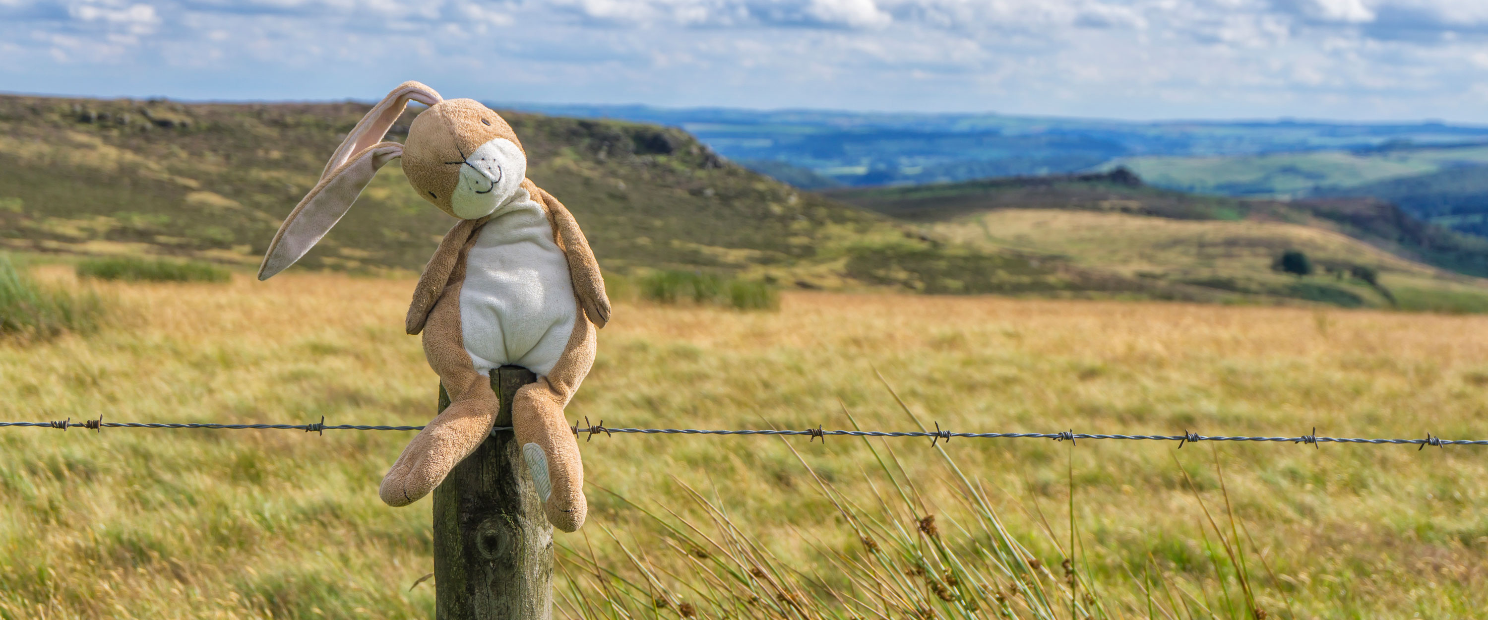 Peak District, Harry