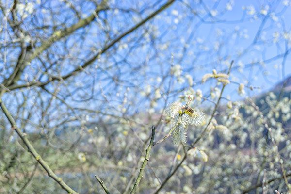 Derwent Valley, Derbyshire