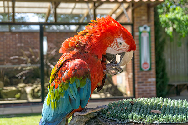 Tropical Butterfly House, Sheffield