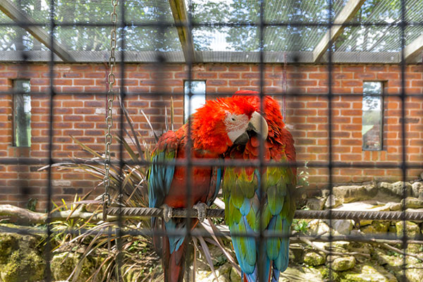 Tropical Butterfly House, Sheffield